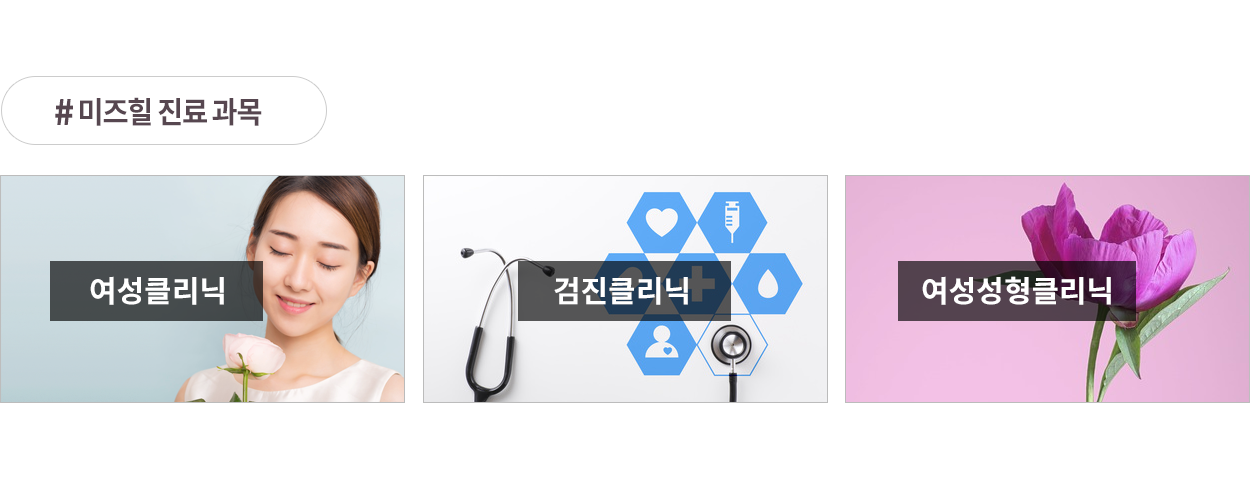 진료과목
